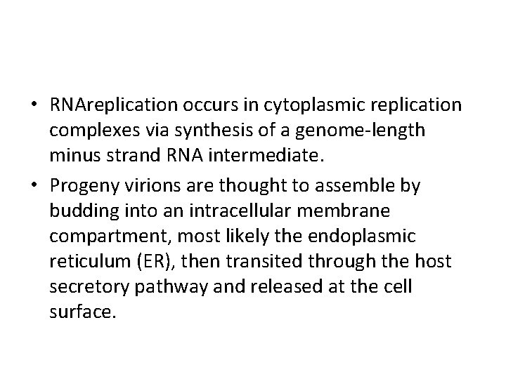  • RNAreplication occurs in cytoplasmic replication complexes via synthesis of a genome-length minus