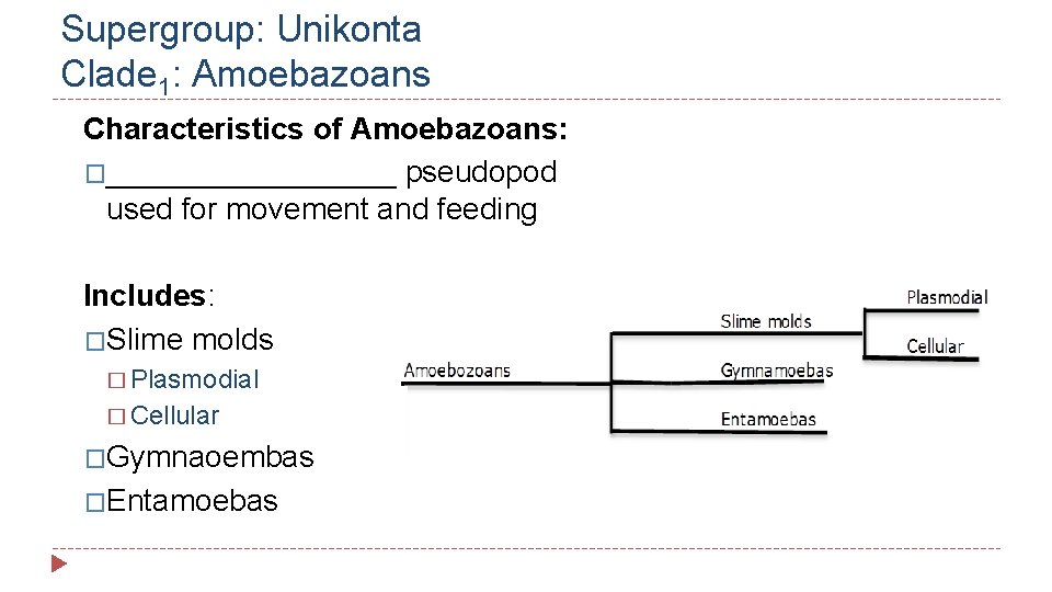 Supergroup: Unikonta Clade 1: Amoebazoans Characteristics of Amoebazoans: �_________ pseudopod used for movement and