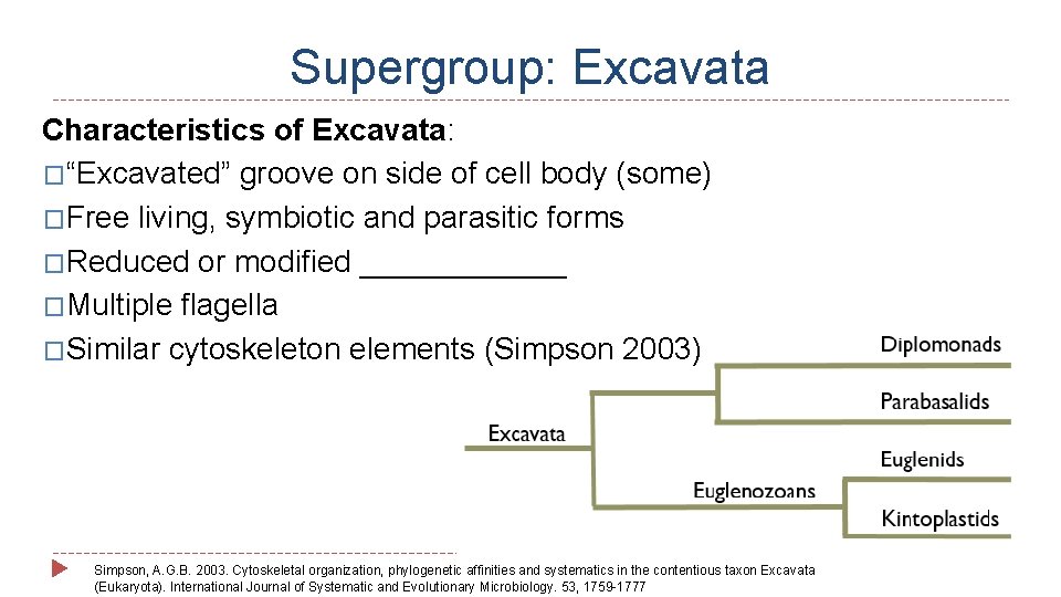 Supergroup: Excavata Characteristics of Excavata: �“Excavated” groove on side of cell body (some) �Free