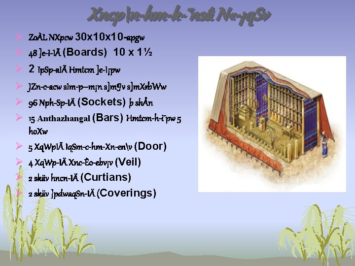 Kamka Iq Smcw Tns Bhiyix Ssn 50 Aym