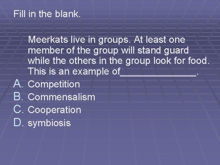 Fill in the blank. Meerkats live in groups. At least one member of the Fill in the blank. Meerkats live in groups. At least one member of the