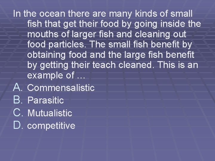 In the ocean there are many kinds of small fish that get their food In the ocean there are many kinds of small fish that get their food