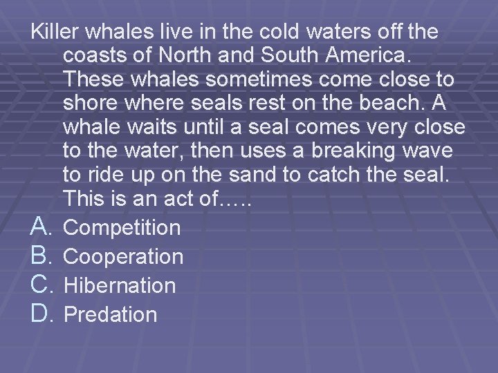 Killer whales live in the cold waters off the coasts of North and South Killer whales live in the cold waters off the coasts of North and South