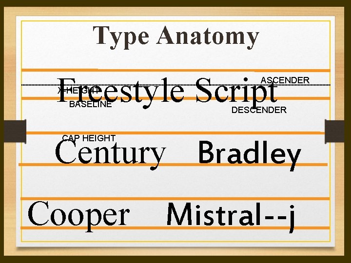 Type Anatomy Freestyle Script ASCENDER X-HEIGHT BASELINE DESCENDER Century Bradley CAP HEIGHT Cooper Mistral--j Type Anatomy Freestyle Script ASCENDER X-HEIGHT BASELINE DESCENDER Century Bradley CAP HEIGHT Cooper Mistral--j
