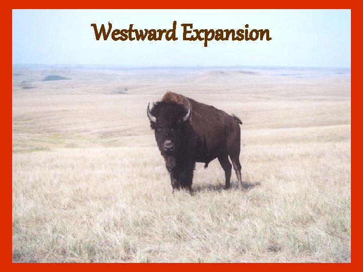 Westward Expansion 