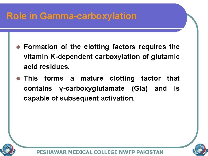 Role in Gamma-carboxylation l Formation of the clotting factors requires the vitamin K-dependent carboxylation