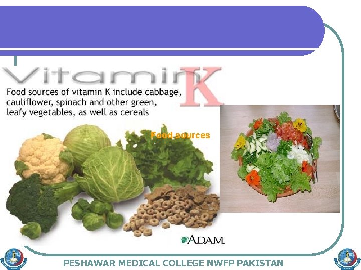 Food sources PESHAWAR MEDICAL COLLEGE NWFP PAKISTAN 