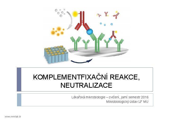 KOMPLEMENTFIXAČNÍ REAKCE, NEUTRALIZACE Lékařská mikrobiologie – cvičení, jarní semestr 2016 Mikrobiologický ústav LF MU