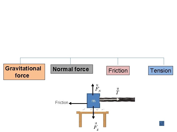 Gravitational force Normal force Friction m Tension 