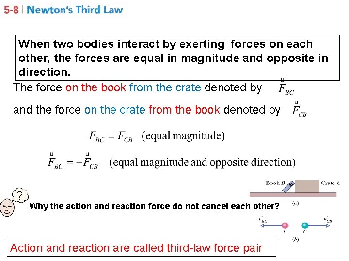 When two bodies interact by exerting forces on each other, the forces are equal