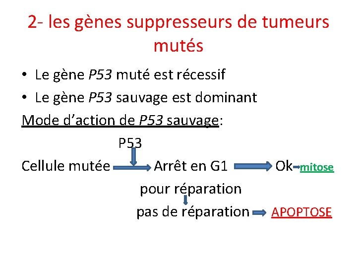 2 - les gènes suppresseurs de tumeurs mutés • Le gène P 53 muté