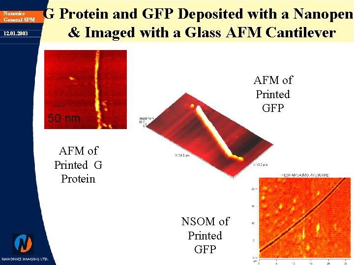 Nanonics General SPM 12. 01. 2003 G Protein and GFP Deposited with a Nanopen