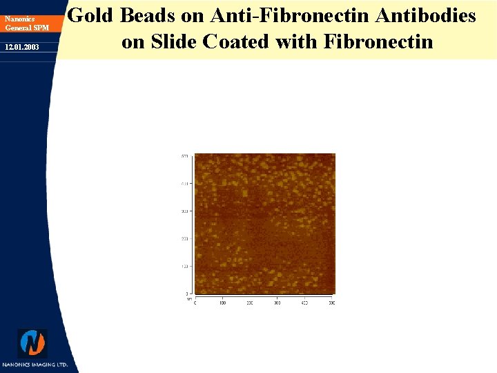 Nanonics General SPM 12. 01. 2003 Gold Beads on Anti-Fibronectin Antibodies on Slide Coated