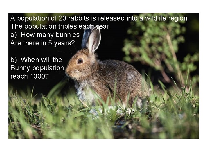 A population of 20 rabbits is released into a wildlife region. The population triples