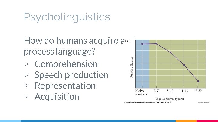 Psycholinguistics How do humans acquire and process language? ▷ Comprehension ▷ Speech production ▷