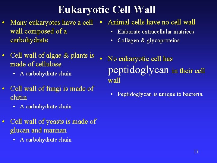 Eukaryotic Cell Wall • Many eukaryotes have a cell • Animal cells have no