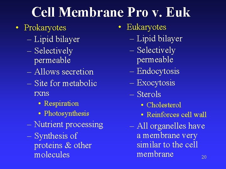 Cell Membrane Pro v. Euk • Prokaryotes – Lipid bilayer – Selectively permeable –