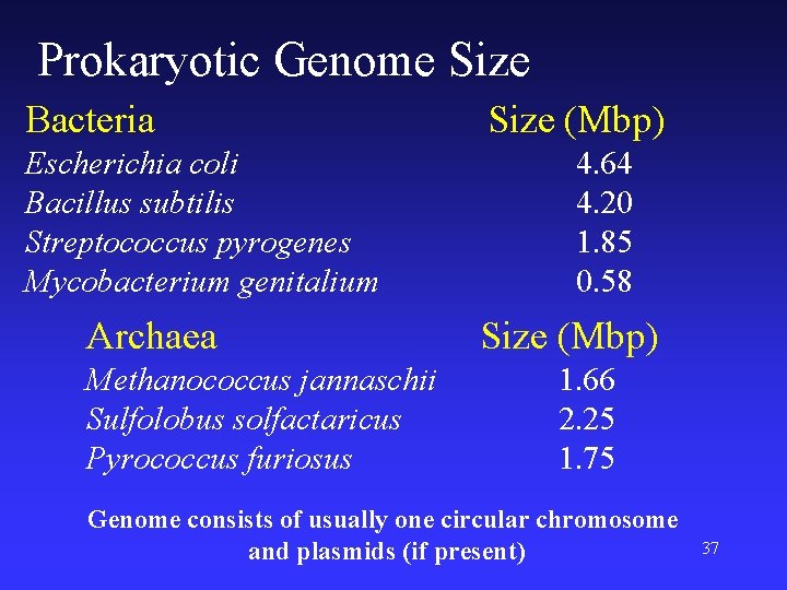 Prokaryotic Genome Size Bacteria Escherichia coli Bacillus subtilis Streptococcus pyrogenes Mycobacterium genitalium Archaea Methanococcus