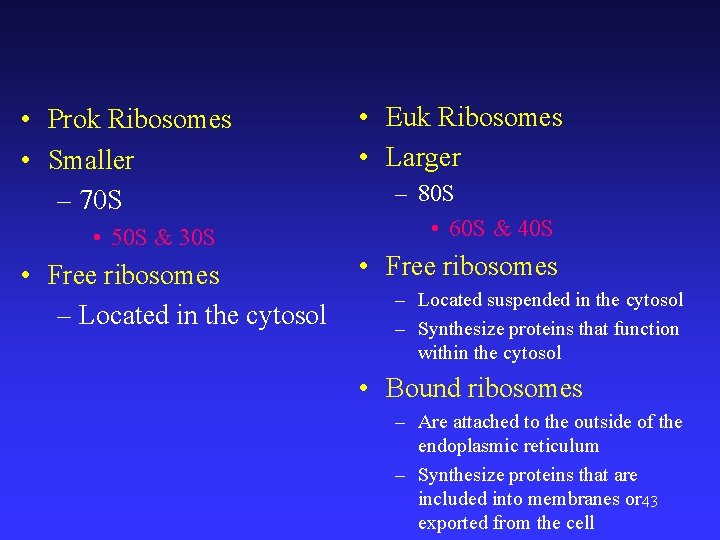  • Prok Ribosomes • Smaller – 70 S • 50 S & 30