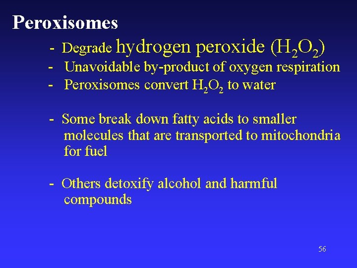 Peroxisomes - Degrade hydrogen peroxide (H 2 O 2) - Unavoidable by-product of oxygen