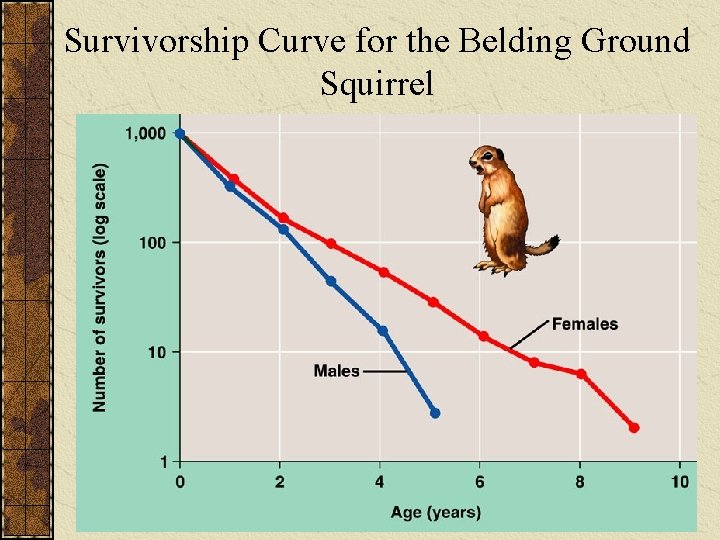 Survivorship Curve for the Belding Ground Squirrel 