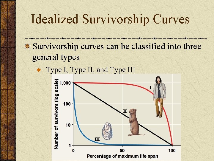 Idealized Survivorship Curves Survivorship curves can be classified into three general types Type I,