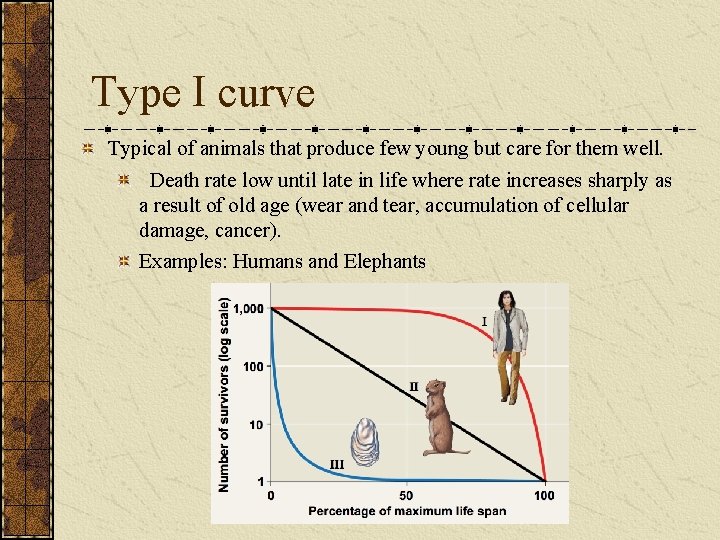 Type I curve Typical of animals that produce few young but care for them