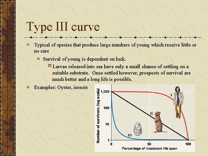 Type III curve Typical of species that produce large numbers of young which receive