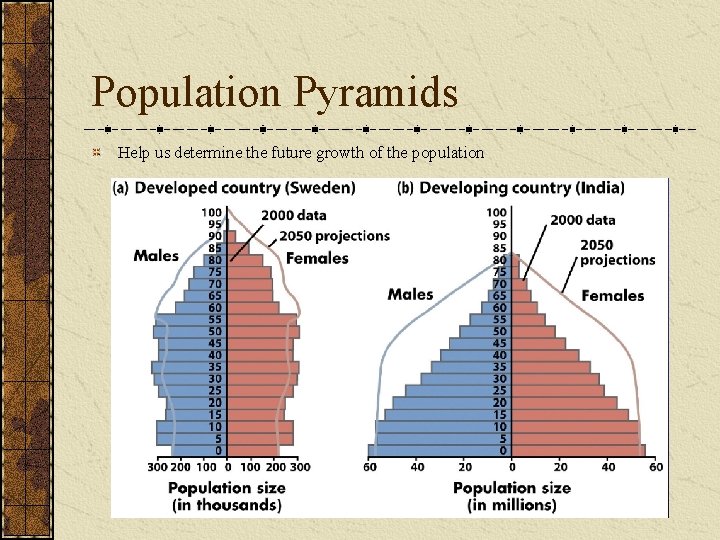 Population Pyramids Help us determine the future growth of the population 