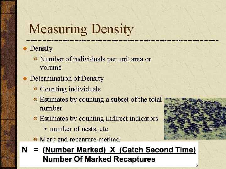 Measuring Density Number of individuals per unit area or volume Determination of Density Counting