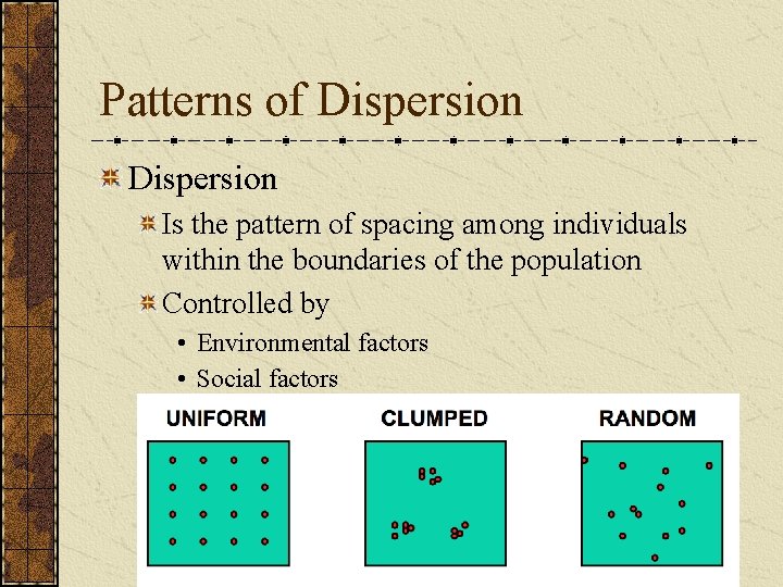 Patterns of Dispersion Is the pattern of spacing among individuals within the boundaries of