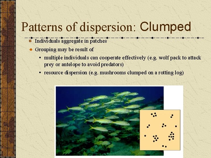 Patterns of dispersion: Clumped Individuals aggregate in patches Grouping may be result of •