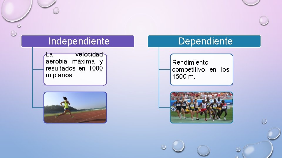 Independiente La velocidad aerobia máxima y resultados en 1000 m planos. Dependiente Rendimiento competitivo
