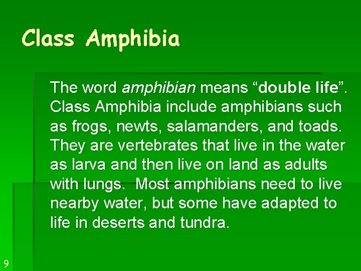 Class Amphibia The word amphibian means “double life”. Class Amphibia include amphibians such as