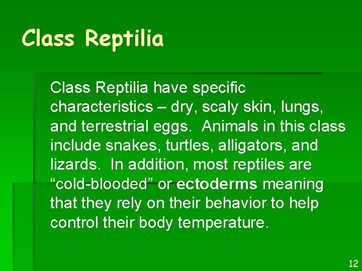 Class Reptilia have specific characteristics – dry, scaly skin, lungs, and terrestrial eggs. Animals