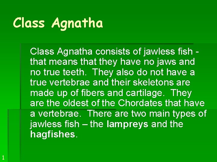 Class Agnatha consists of jawless fish that means that they have no jaws and