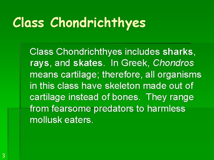 Class Chondrichthyes includes sharks, rays, and skates. In Greek, Chondros means cartilage; therefore, all