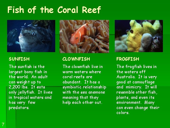 Fish of the Coral Reef 7 SUNFISH CLOWNFISH FROGFISH The sunfish is the largest