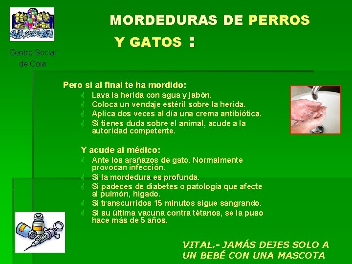 MORDEDURAS DE PERROS Y GATOS Centro Social de Coia : Pero si al final