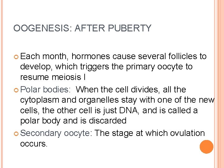 OOGENESIS: AFTER PUBERTY Each month, hormones cause several follicles to develop, which triggers the