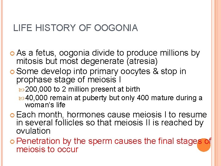 LIFE HISTORY OF OOGONIA As a fetus, oogonia divide to produce millions by mitosis