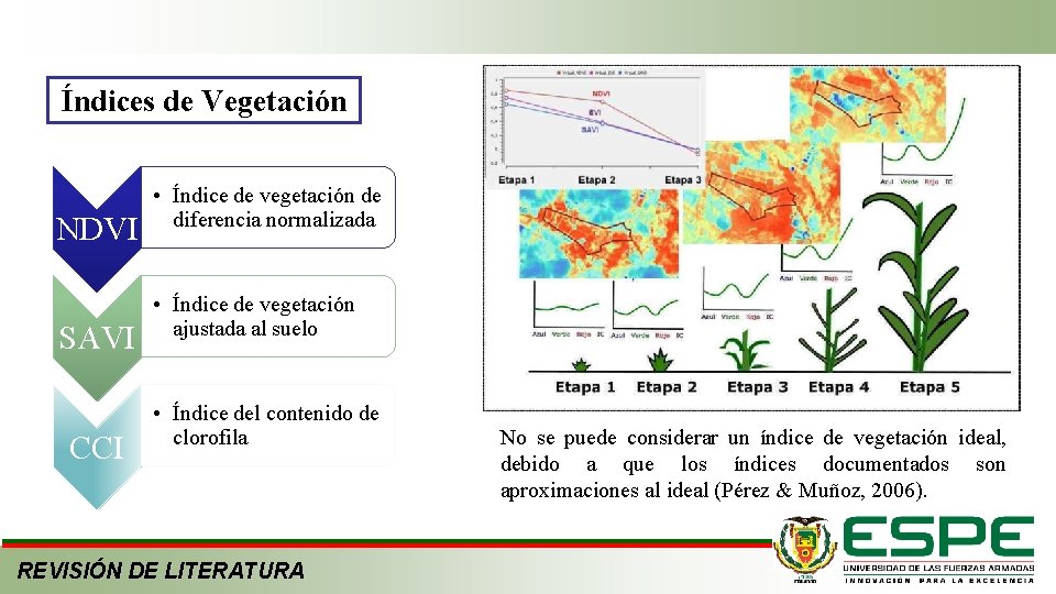 Índices de Vegetación NDVI SAVI CCI • Índice de vegetación de diferencia normalizada •