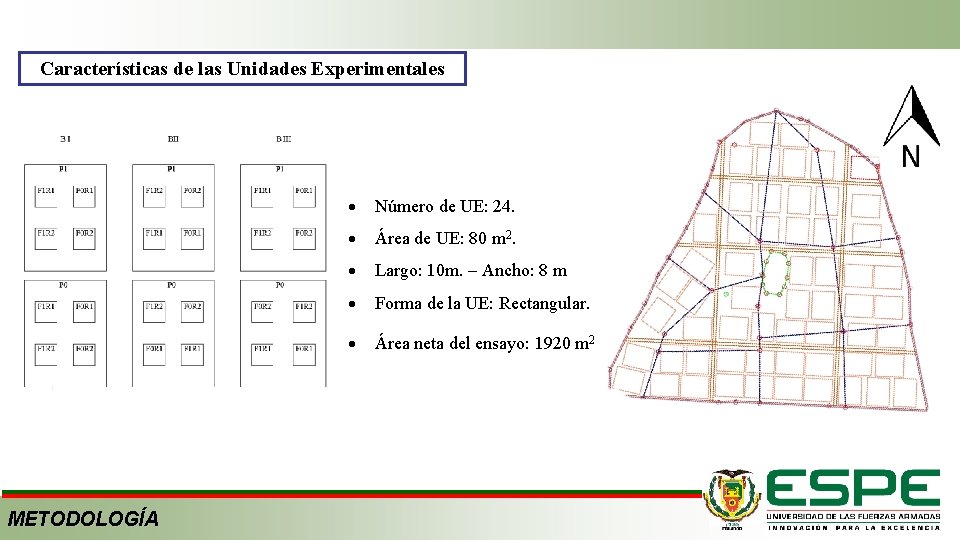 Características de las Unidades Experimentales METODOLOGÍA Número de UE: 24. Área de UE: 80