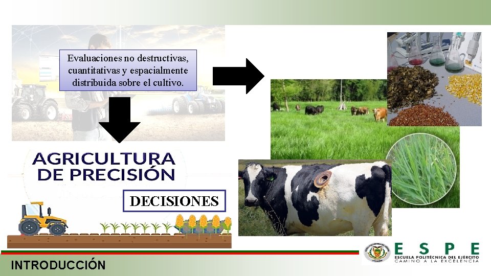 Evaluaciones no destructivas, cuantitativas y espacialmente distribuida sobre el cultivo. DECISIONES INTRODUCCIÓN 