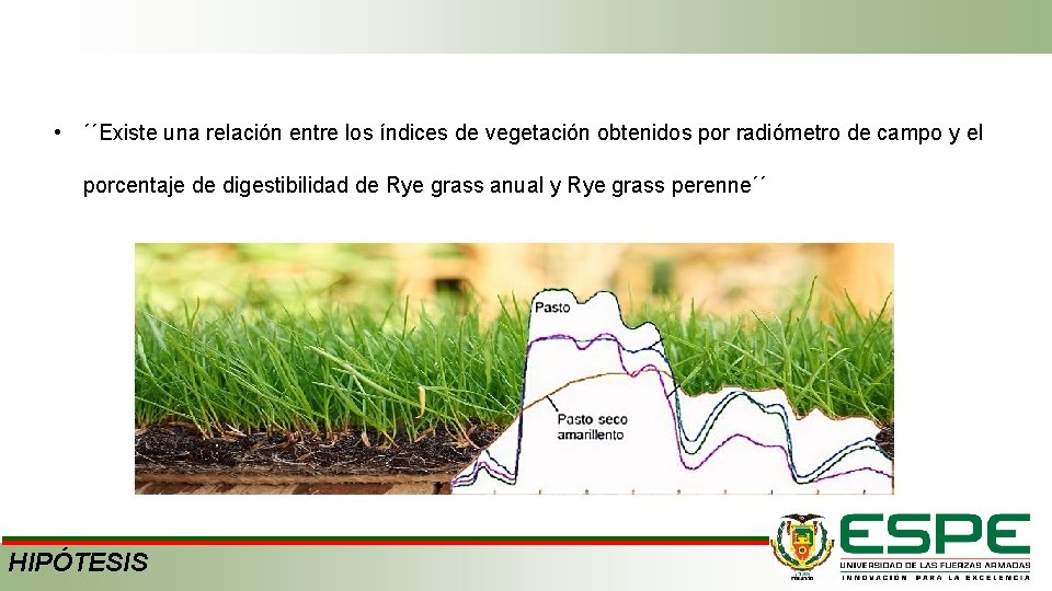  • ´´Existe una relación entre los índices de vegetación obtenidos por radiómetro de