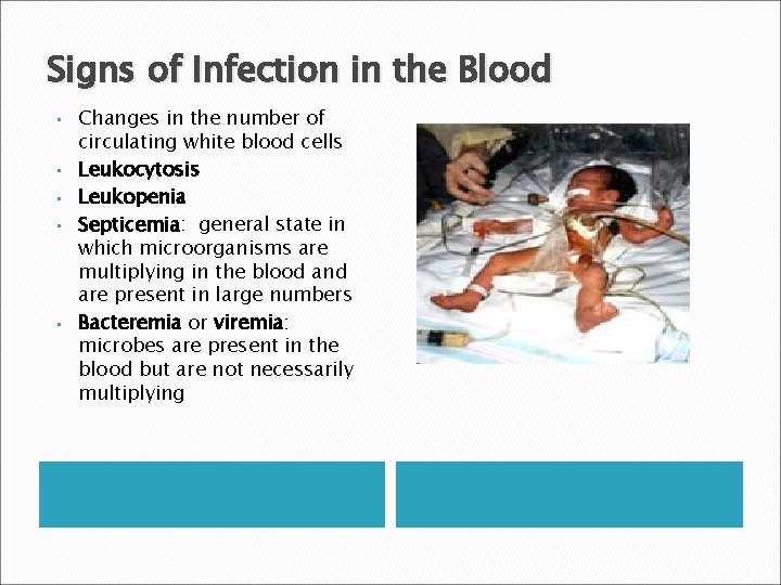 Signs of Infection in the Blood • • • Changes in the number of