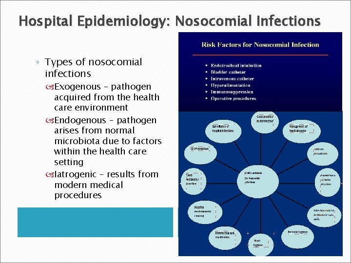 Hospital Epidemiology: Nosocomial Infections ◦ Types of nosocomial infections Exogenous – pathogen acquired from