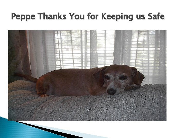 Peppe Thanks You for Keeping us Safe 