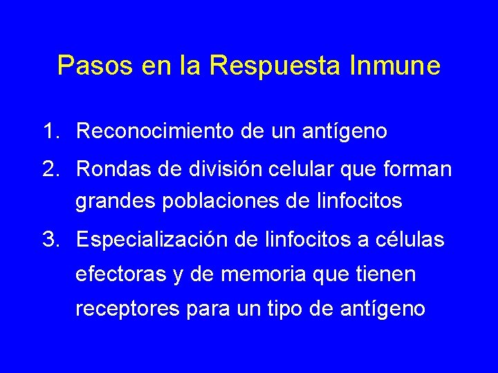 Pasos en la Respuesta Inmune 1. Reconocimiento de un antígeno 2. Rondas de división