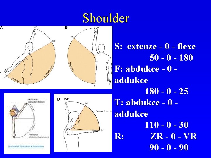 Shoulder S: extenze - 0 - flexe 50 - 180 F: abdukce - 0